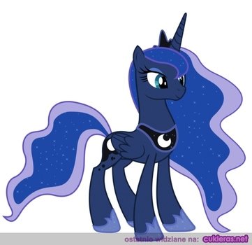 Pony I Inne SÅodkie Obrazki Dla Dzieci Ale Nie Tylko Foto Luna