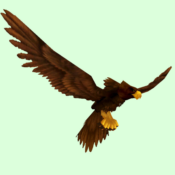 Brown Eagle Pictures This Is Your Indexhtml Page Free Image Download