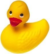 yellow duck on a white background