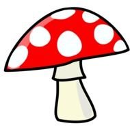 Drawing of the white and red mushroom clipart