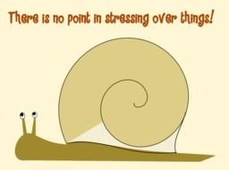 snail drawing