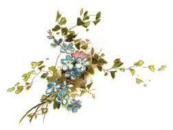 spring bouquet with blue forget-me-nots