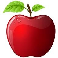 red apple on the white background