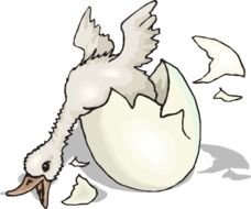 Duck Hatching And Falling At Clkercom Vector