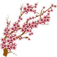 drawing tree branch with pink flowers