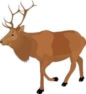 Brown Moose Animal Download Vector Online