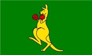 kangaroo in Boxing gloves drawing