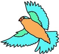 Flying Bird Colored