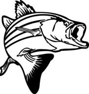 painted black and white salmon