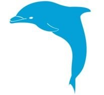 These Are The Dolphin Vector Free Graphics Pictures