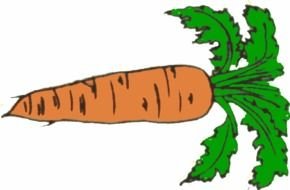 Clip Art of the Carrot