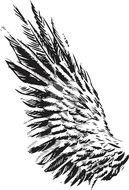 Birds Peacock Feather Wings Photoshop Free Brush