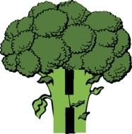 Broccoli At Clkercom Vector Online Royalty