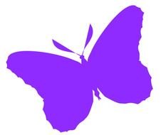 Butterfly Silhouette drawing