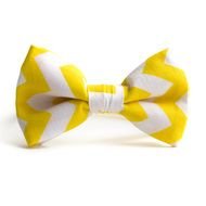 Colorful bow tie clipart