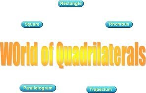 Quadrilaterals In Real Life Unit