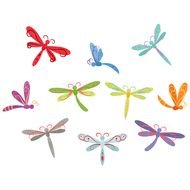 pictures of dragonflies of different colors