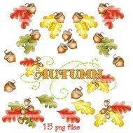 Oak Leaves And Acorns Fall Autumn Png S 15 clipart