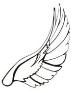wings in graphic representation
