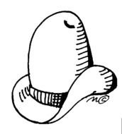 Cute Cowboy Boots Panda Free Images