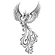 painted black and white heat bird