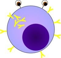 Plasma Cell At Clkercom Vector Online Royalty