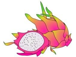 Colorful dragon fruit clipart