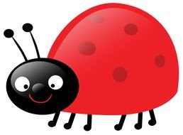 Ladybug as a picture for clipart