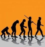 human evolution on an orange background