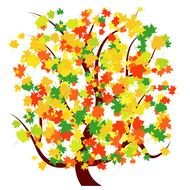 Colorful Vector Fall Tree Greatvectors