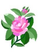embroidered pink rose