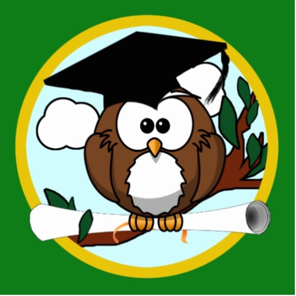 Cute Cartoon Graduation Owl drawing