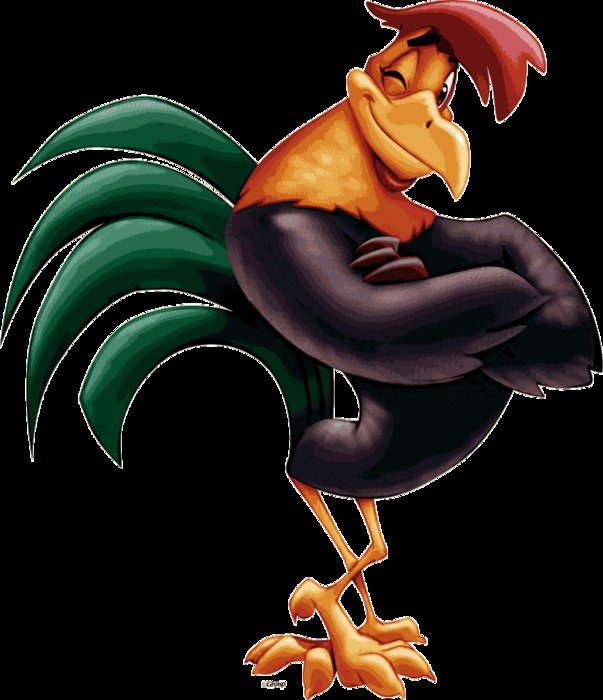 picture of a rooster on a black background