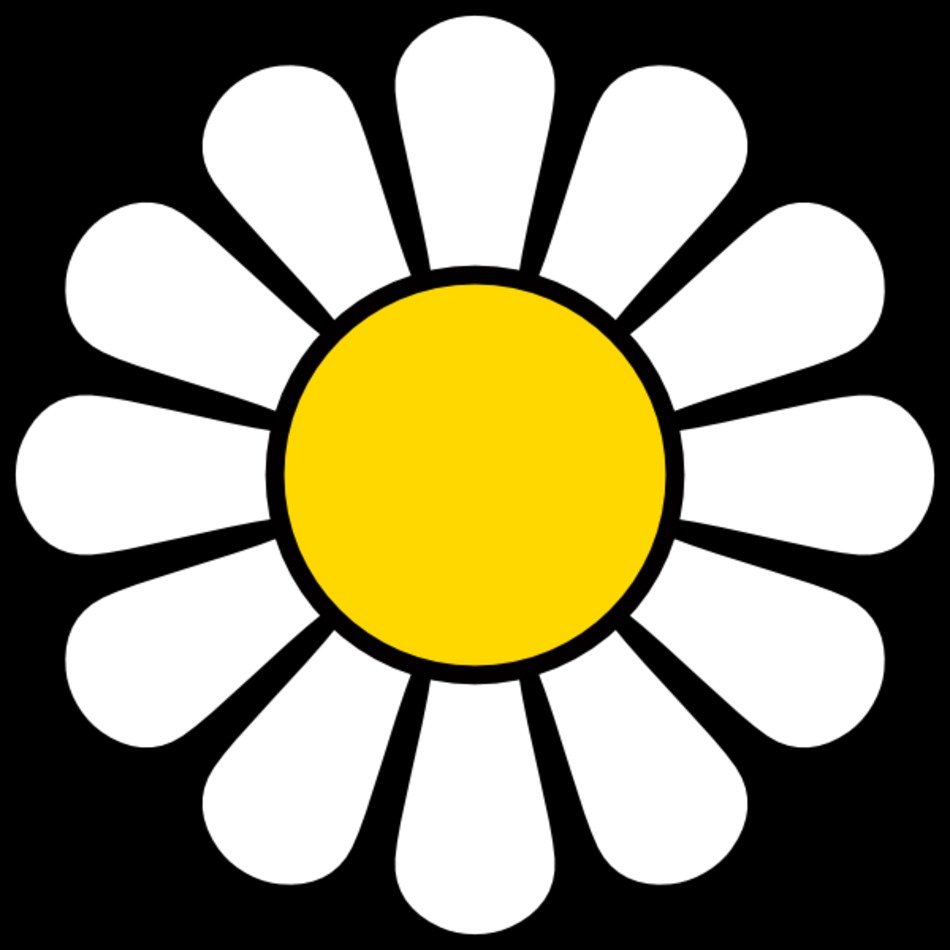 Daisy Flowers Panda Free Images