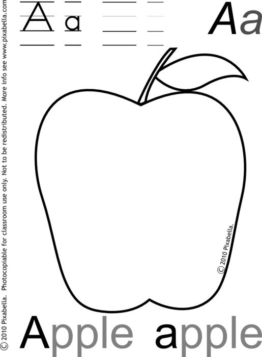 Drawing of the apple