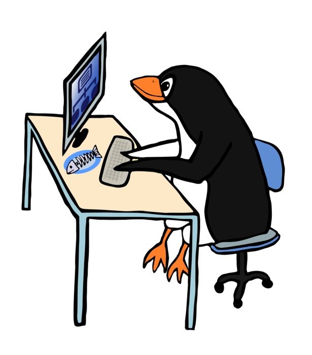 penguin works at the computer