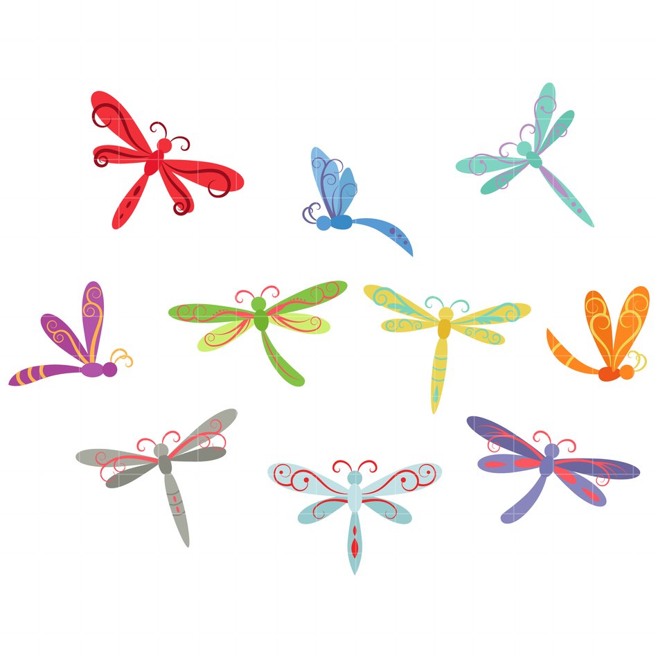 pictures of dragonflies of different colors