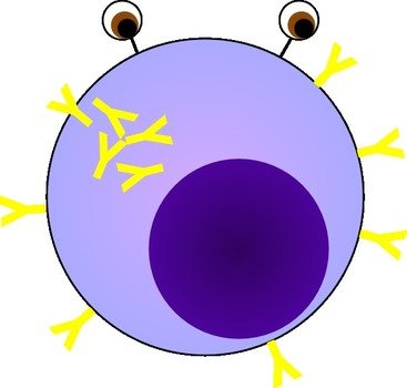 Plasma Cell At Clkercom Vector Online Royalty
