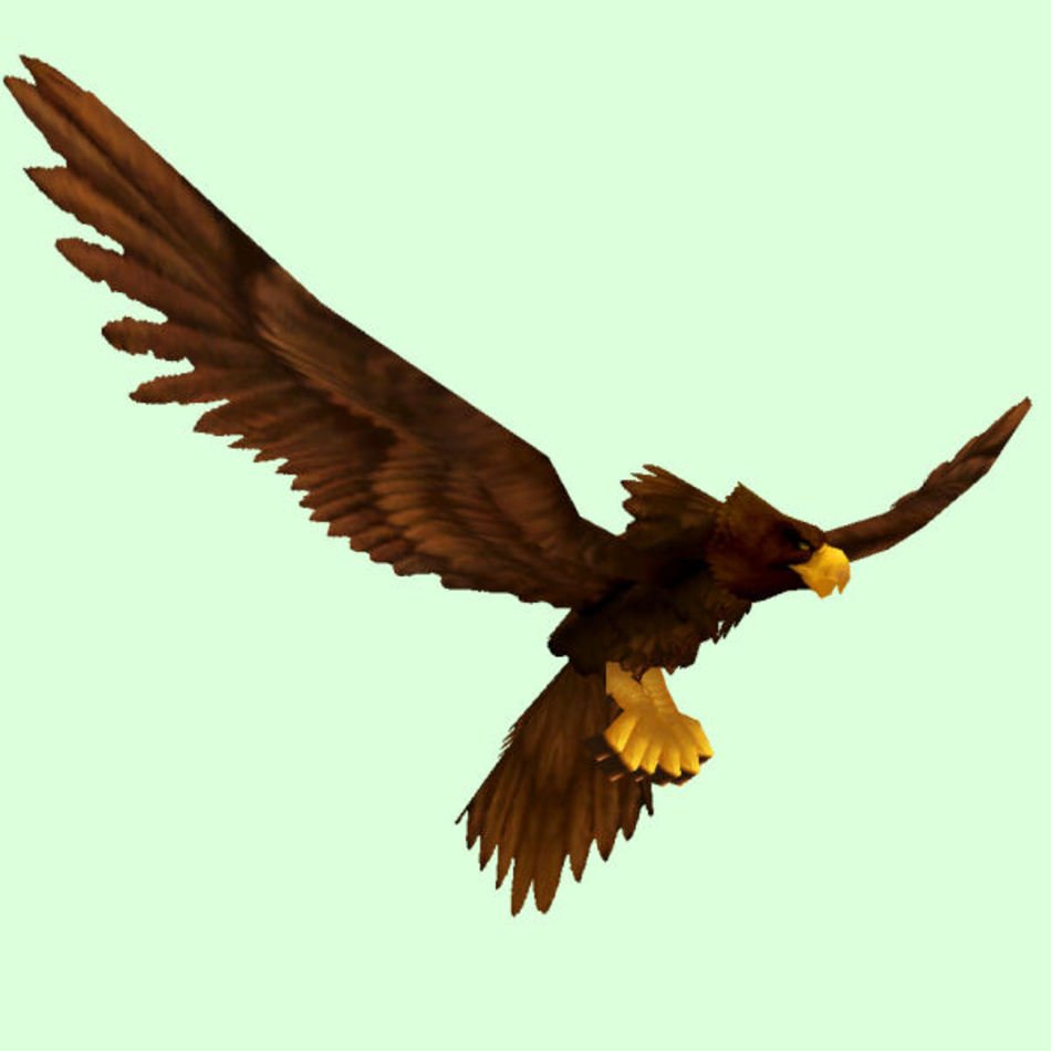 Brown Eagle Pictures This Is Your Indexhtml Page