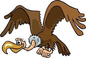 brown Vulture drawing