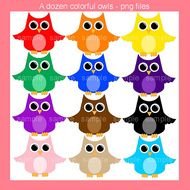Colorful Owl Rainbow Owls Set