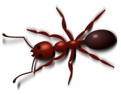 red ant on a black background in computer graphics