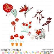 Bird Of Paradise Flower Tulip Plant Painting By Simplygraphicstore