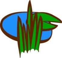 Marsh Grass drawing