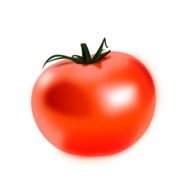 Red Tomato At Clkercom Vector Online Royalty