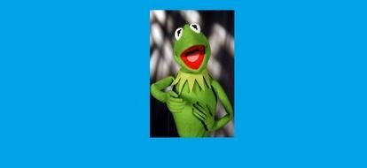 photo of a green plush frog