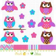 Cute Pink Owl Digital Graphics By Peachandmint $300