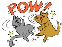 Cats And Dogs Fighting Hobbies & Leisure