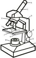 small microscope drawing