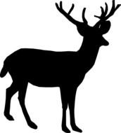Deer Silhouette At Clkercom Vector Online